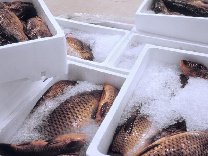 HACCP regulations in transport